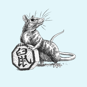 Основные характеристики крысы